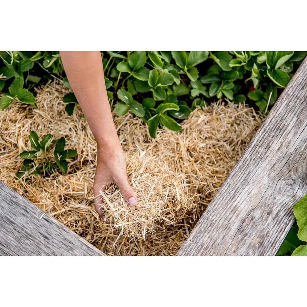 HealthiStraw GardenStraw Clean Premium Straw Mulch for Gardening, Lawn Seeding and Composting, 3 Cu Ft (Garden Wrap 100 sq ft)