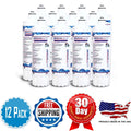 AFC Brand , Water Filters , Model # AFC-EPH-104-9000S , Compatible with Pentair® EV961216 - 12 Filters - Made in U.S.A.
