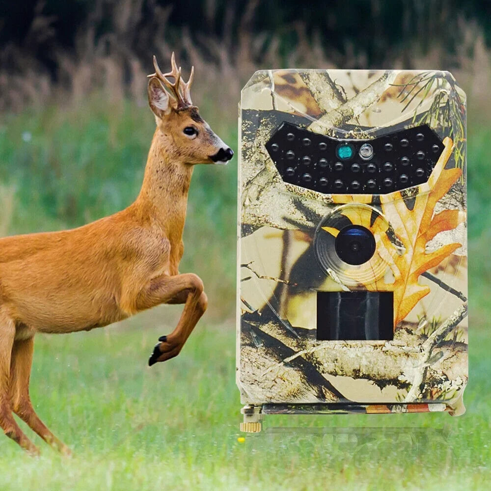 Infrared Trail Camera,DFITO Wildlife Monitor, 1080P, 12MP, Home Security, Farm Monitoring, Hunting Trail Monitor, Hunting Wildlife Camera Waterproof (SD Card NOT Included)