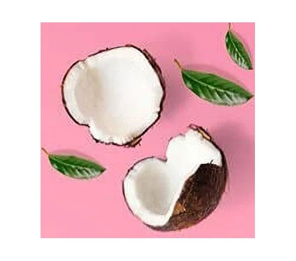 PINK/Victoria's Secret Pink Coconut Body Lotion 8fl. oz. Set of 3