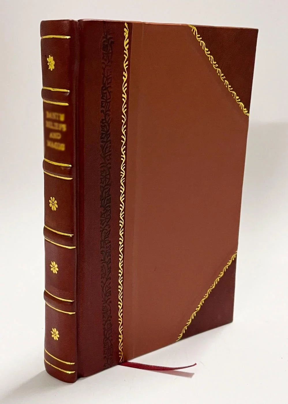 Manual Du Cabinet Royal De Curiosites, Ou Description Detaillee Des Objets, Qui Y Sont Representes Die in Diesem Cabinet De Curiosites Aufbewahrten Gegenstande Zerfallen in (1861) [Leather Bound]