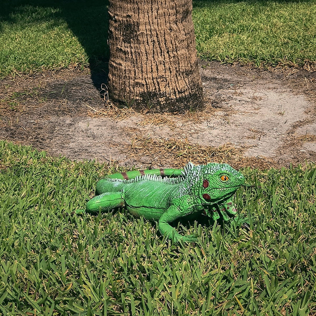Life Size Green Iguana Reptile XL Foam Filled Rubber Lizard Large Bearded Dragon Giant Movie Prop