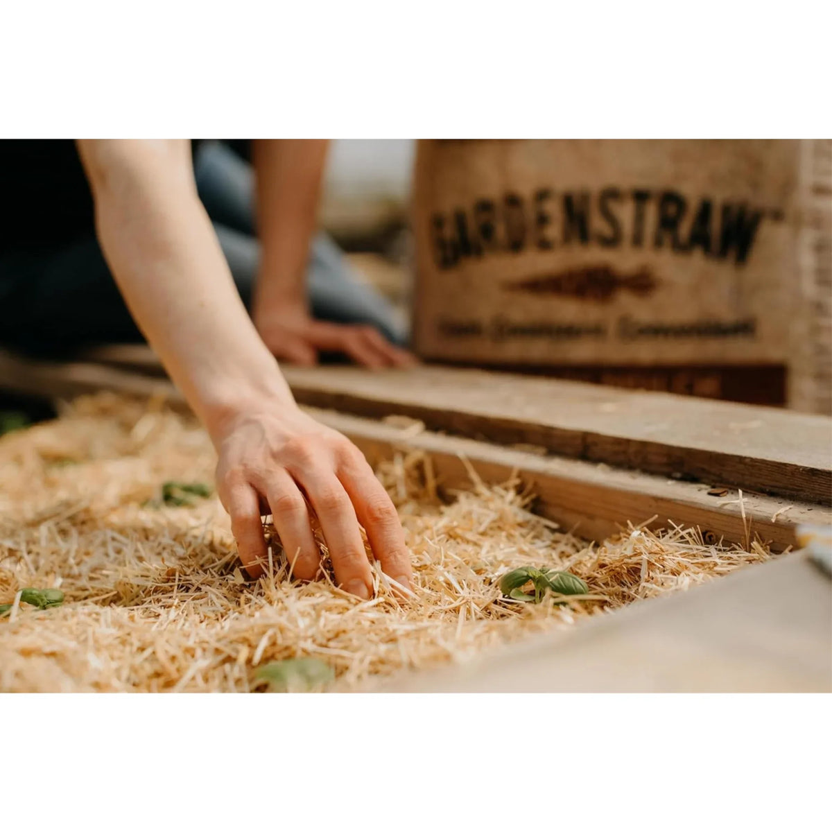 HealthiStraw GardenStraw Clean Premium Straw Mulch for Gardening, Lawn Seeding and Composting, 3 Cu Ft (Garden Wrap 100 sq ft)