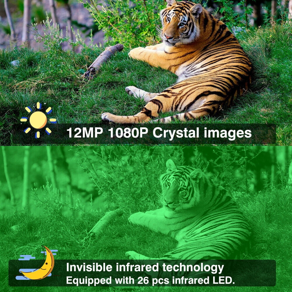 Infrared Trail Camera,DFITO Wildlife Monitor, 1080P, 12MP, Home Security, Farm Monitoring, Hunting Trail Monitor, Hunting Wildlife Camera Waterproof (SD Card NOT Included)